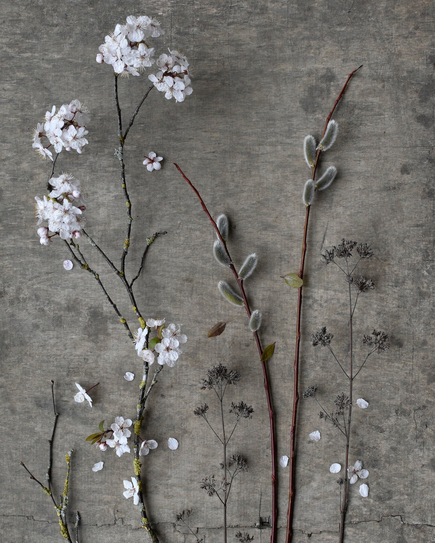 March No.1